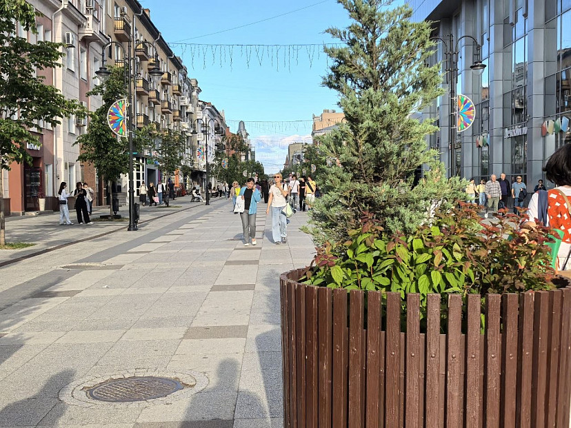 В Саратове уволен руководитель «Садово-паркового хозяйства» 
